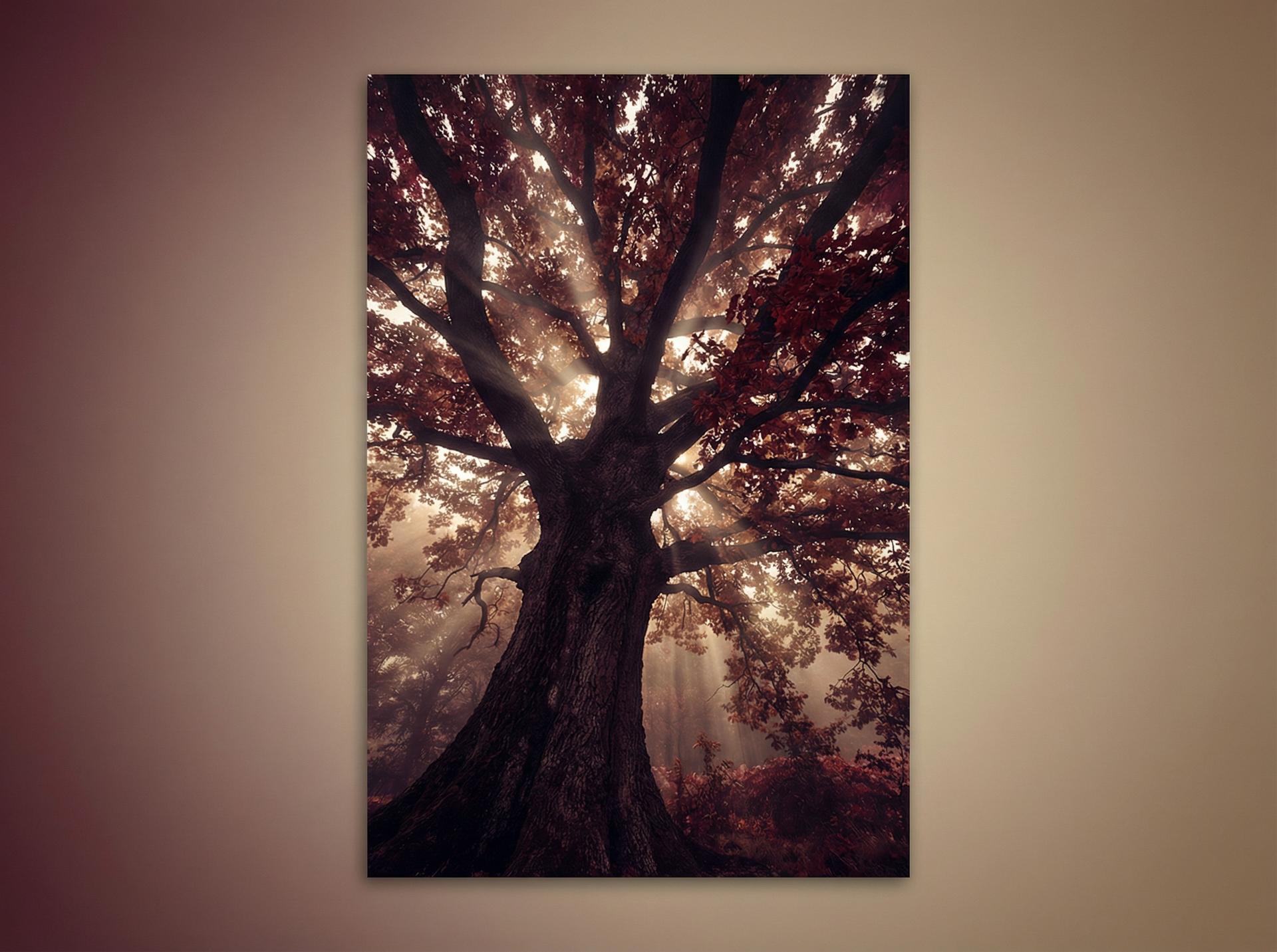 抖音风 AI植物视频推荐